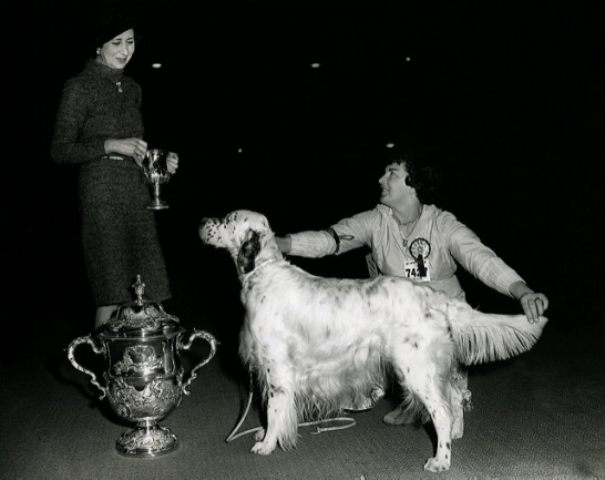 Crufts Reserve Best in Show 1961 & 1963 - The Kennel Club via flickr